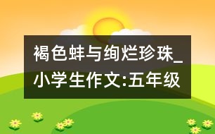 褐色蚌與絢爛珍珠_(kāi)小學(xué)生作文:五年級(jí)