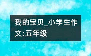 我的寶貝_小學(xué)生作文:五年級(jí)