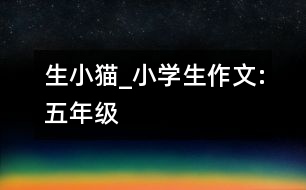 生小貓_小學生作文:五年級