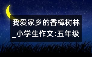 我愛(ài)家鄉(xiāng)的香樟樹(shù)林_小學(xué)生作文:五年級(jí)