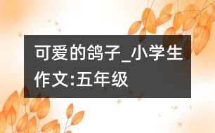 可愛的鴿子_小學(xué)生作文:五年級