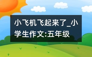 小飛機(jī)飛起來了_小學(xué)生作文:五年級(jí)