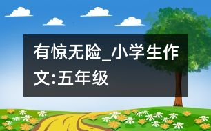 有驚無險(xiǎn)_小學(xué)生作文:五年級