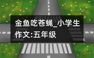 金魚(yú)吃蒼蠅_小學(xué)生作文:五年級(jí)