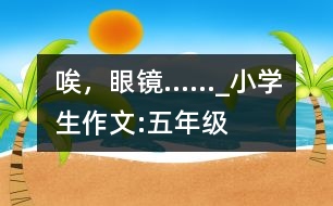 唉，眼鏡……_小學(xué)生作文:五年級