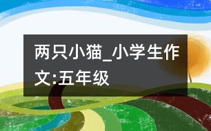 兩只小貓_小學生作文:五年級