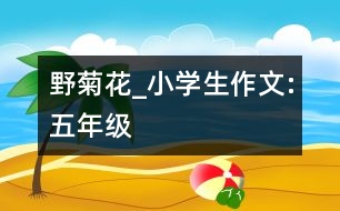 野菊花_小學(xué)生作文:五年級(jí)