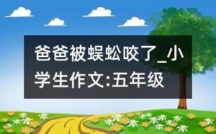 爸爸被蜈蚣咬了_小學(xué)生作文:五年級