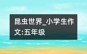昆蟲世界_小學生作文:五年級