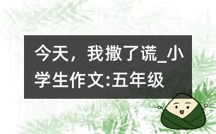 今天，我撒了謊_小學(xué)生作文:五年級(jí)