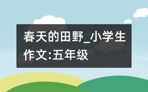 春天的田野_小學生作文:五年級