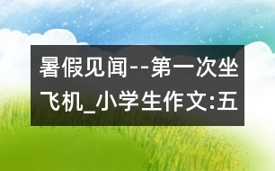 暑假見聞--第一次坐飛機(jī)_小學(xué)生作文:五年級(jí)