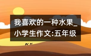 我喜歡的一種水果_小學(xué)生作文:五年級(jí)