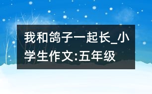 我和鴿子一起長_小學(xué)生作文:五年級(jí)