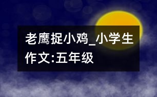 老鷹捉小雞_小學生作文:五年級
