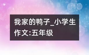 我家的鴨子_小學(xué)生作文:五年級