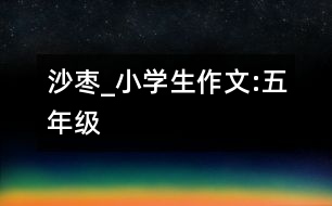沙棗_小學生作文:五年級