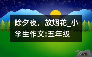 除夕夜，放煙花_小學(xué)生作文:五年級(jí)