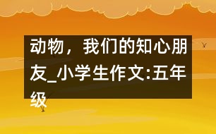 動(dòng)物，我們的知心朋友_小學(xué)生作文:五年級(jí)