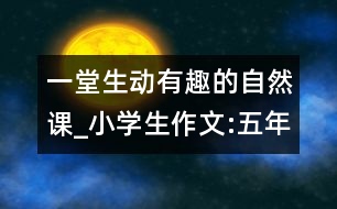 一堂生動(dòng)有趣的自然課_小學(xué)生作文:五年級