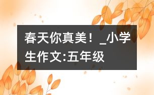 春天你真美！_小學(xué)生作文:五年級(jí)
