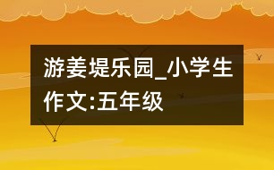 游姜堤樂園_小學生作文:五年級