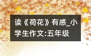 讀《荷花》有感_小學生作文:五年級