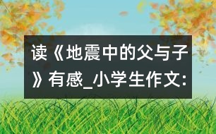 讀《地震中的父與子》有感_小學生作文:五年級