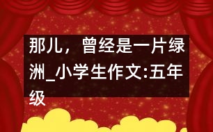 那兒，曾經(jīng)是一片綠洲_小學(xué)生作文:五年級(jí)