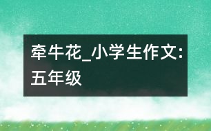 牽?；╛小學生作文:五年級
