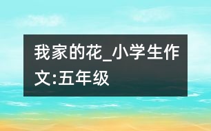 我家的花_小學(xué)生作文:五年級(jí)