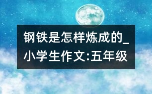 鋼鐵是怎樣煉成的_小學(xué)生作文:五年級(jí)