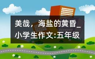 美哉，海鹽的黃昏_小學(xué)生作文:五年級
