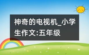 神奇的電視機_小學生作文:五年級