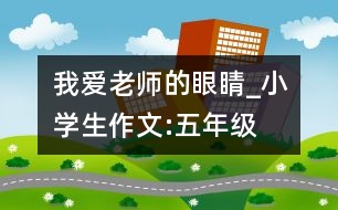 我愛(ài)老師的眼睛_小學(xué)生作文:五年級(jí)