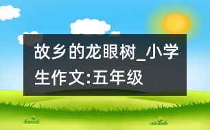故鄉(xiāng)的龍眼樹_小學生作文:五年級