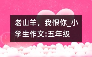 “老山羊”，我恨你_小學(xué)生作文:五年級