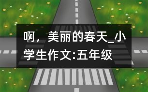 啊，美麗的春天_小學(xué)生作文:五年級