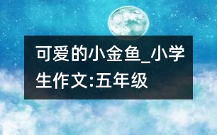 可愛(ài)的小金魚(yú)_小學(xué)生作文:五年級(jí)
