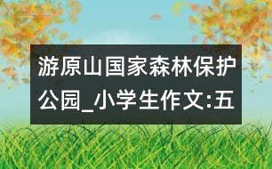 游原山國(guó)家森林保護(hù)公園_小學(xué)生作文:五年級(jí)