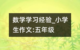 數(shù)學(xué)學(xué)習(xí)經(jīng)驗_小學(xué)生作文:五年級