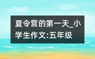 夏令營(yíng)的第一天_小學(xué)生作文:五年級(jí)