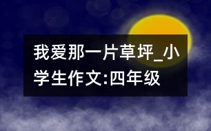 我愛那一片草坪_小學(xué)生作文:四年級(jí)