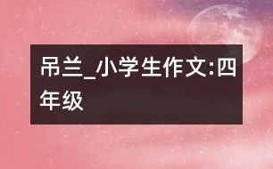 吊蘭_小學生作文:四年級