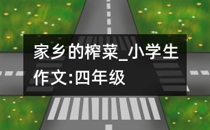 家鄉(xiāng)的榨菜_小學生作文:四年級
