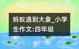 螞蟻遇到大象_小學生作文:四年級