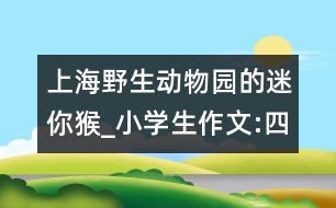 上海野生動物園的迷你猴_小學生作文:四年級