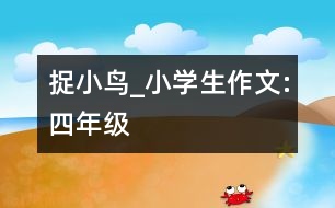 捉小鳥_小學生作文:四年級