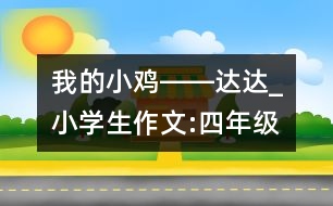 我的小雞――達(dá)達(dá)_小學(xué)生作文:四年級(jí)