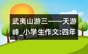 武夷山游（三）――天游峰_小學(xué)生作文:四年級